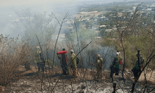 3 arrested, 15 cases lodged as Margalla Hills on fire again