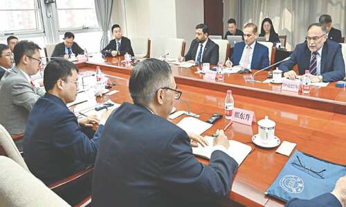 Govt seeks Chinese support for hydropower projects