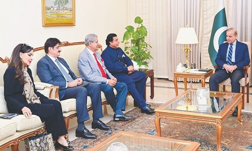 PPP seeks &lsquo;more than due&rsquo; share in standing committees