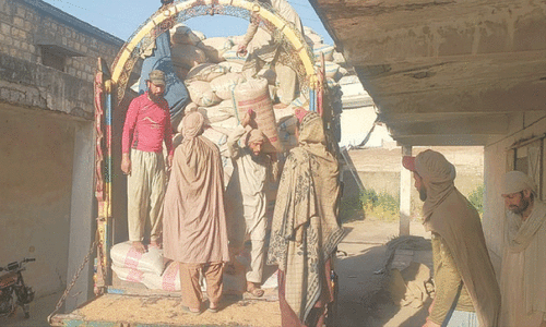 Wheat procurement from Punjab growers begins in Lower Dir