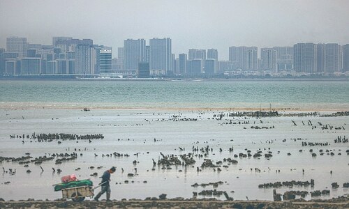 Taiwan&rsquo;s oyster farmers on frontline of China war games
