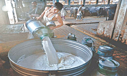 No respite from price hike as companies raise packaged milk rates