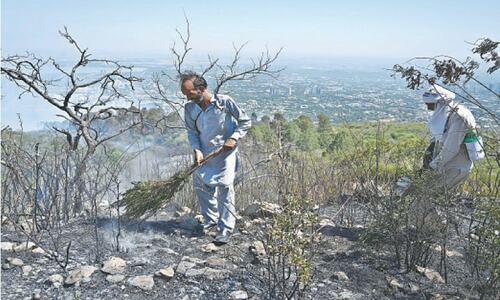 Margalla Hills ablaze with multiple fires, minister orders probe