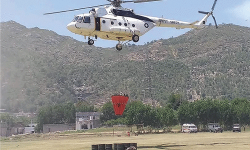 Forest fire destroys trees, wildlife habitat in Dir