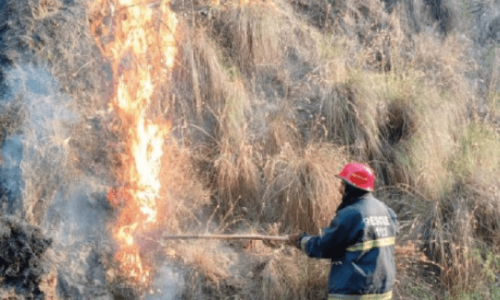Fires doused in Gujrat’s Pabbi forest area in last three days Fires doused in Gujrat’s Pabbi forest area in last three days