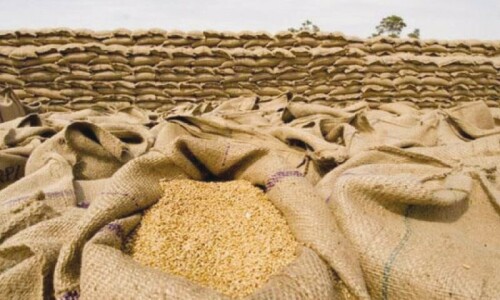 NAB probe into Mansehra’s wheat procurement ‘anomalies’ demanded NAB probe into Mansehra’s wheat procurement ‘anomalies’ demanded