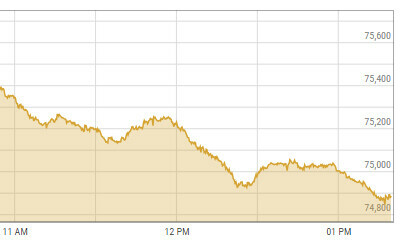 Bears take hold of PSX as shares plunge over 900 points on ‘delay in budget’ Bears take hold of PSX as shares plunge over 900 points on ‘delay in budget’