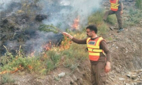 Swat valley forests again gripped by devastating fires