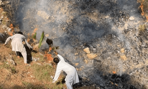 Villagers extinguish fire in AJK forest