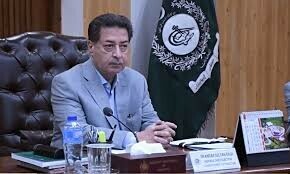 Chief election commissioner blames top judiciary for electoral complications Chief election commissioner blames top judiciary for electoral complications