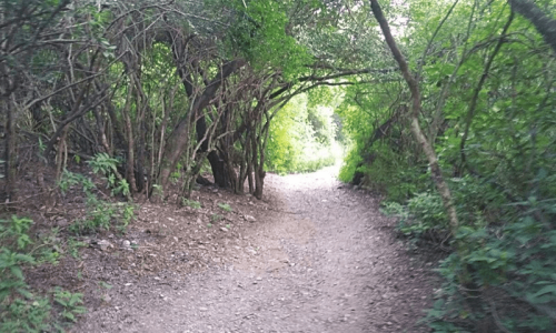 Teenage hiker died over 24 hours before postmortem: report