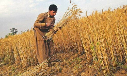 Budget 2024-25: Farmers fearful as budget approaches