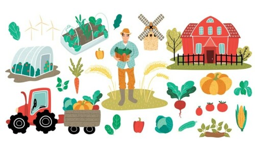 Nanofertilisers &mdash; revolutionising agriculture