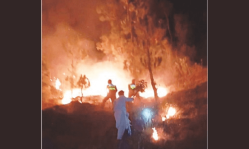 Fire breaks out in Gadoon Amazai forest in Swabi