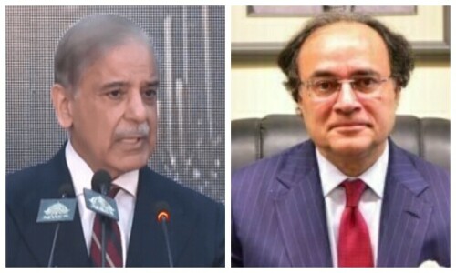PM Shehbaz relieves finance minister from key economic forum