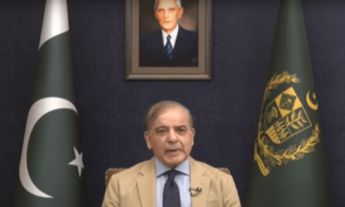 Govt departments causing &lsquo;billions in losses&rsquo; to be shut down: PM Shehbaz