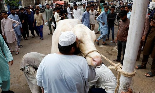 In pictures: Muslims around the world mark Eidul Azha In pictures: Muslims around the world mark Eidul Azha