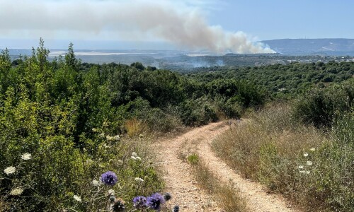 Israel army says operational plans for Lebanon offensive &lsquo;approved&rsquo;