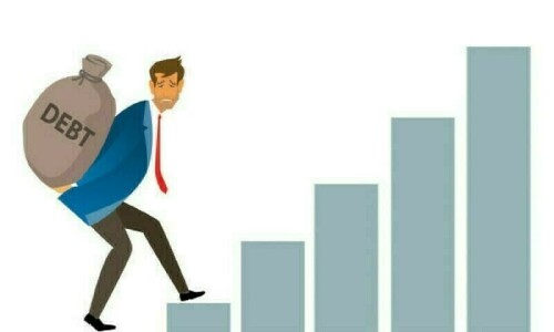 Govt cuts public debt repayment target