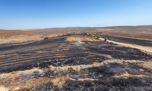 Wildfire kills 11 in Turkiye&rsquo;s Kurdish region