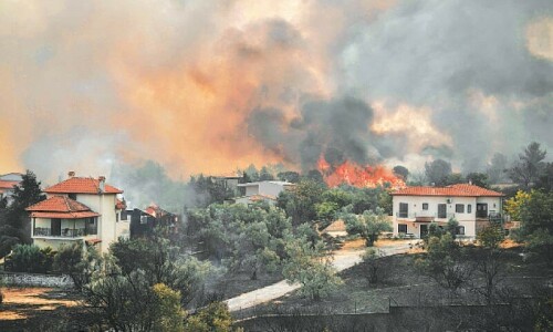 Fireworks launched from yacht set off forest fire in Greece Fireworks launched from yacht set off forest fire in Greece