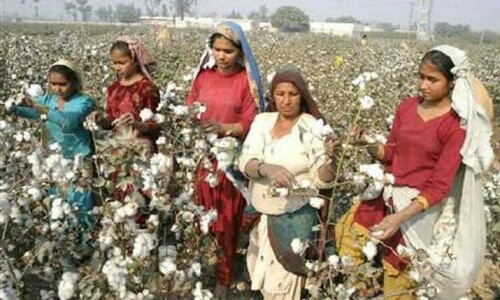 Ginners on strike against new taxes, power tariff Ginners on strike against new taxes, power tariff