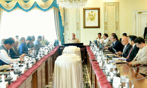 Ongoing IBOs to be intensified under &lsquo;Vision Azm-i-Istehkam&rsquo; rather than new military op: PM Shehbaz