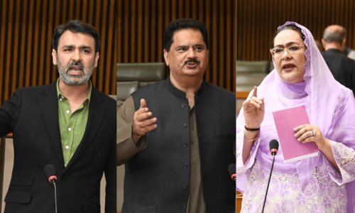 PM Shehbaz has lost popular support, PPP MNAs claim