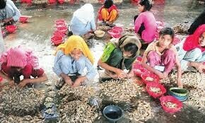 National Commission on the Rights of Child launches campaign to address child domestic labour