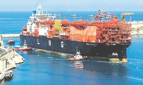 Govt to cut LNG imports amid economic slowdown Govt to cut LNG imports amid economic slowdown
