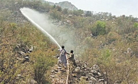 Fire damages forest in Haripur, Kohat