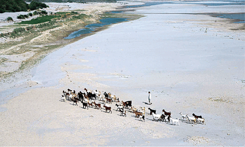 Sindh sticks to its guns on water shortage Sindh sticks to its guns on water shortage