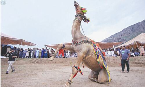 Three-day spring festival begins in Orakzai