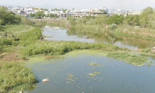 Polluted streams feeding Rawal Dam in absence of treatment plants Polluted streams feeding Rawal Dam in absence of treatment plants