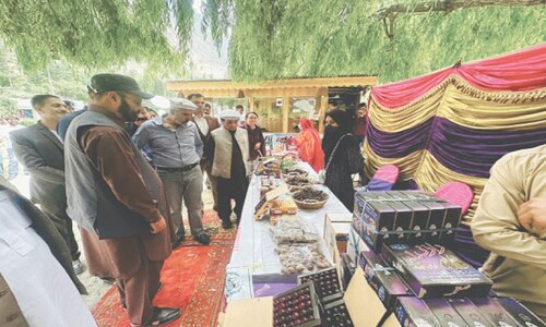 Cherry festival to promote agri-tourism in GB