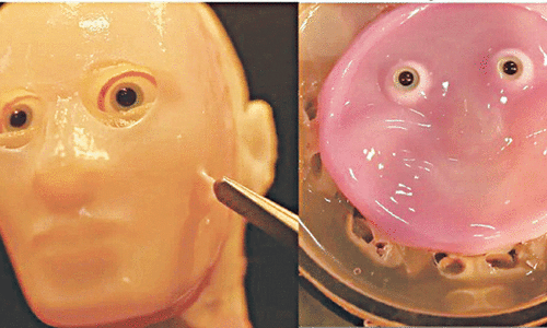 Japanese scientists make smiling robot with &lsquo;living&rsquo; skin