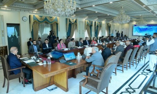 PM Shehbaz forms high-level committee for tackling monsoon emergencies