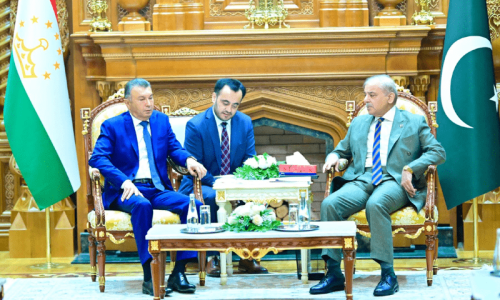 PM Shehbaz invites Tajikistan to avail Pakistan seaports for transit trade