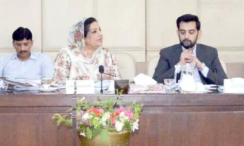 Export protocols for donkey meat to China finalised