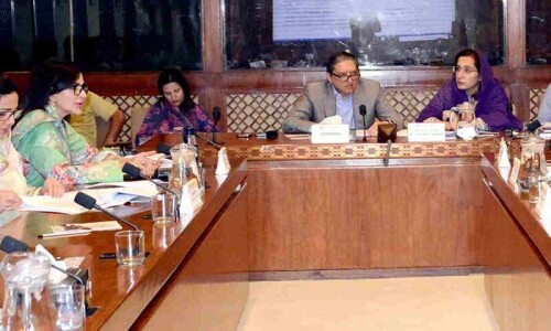 Senate panel clears amended SOE Act to remove directors Senate panel clears amended SOE Act to remove directors