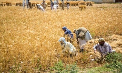 Provinces agree to align agri tax system with centre