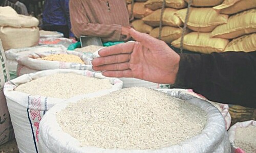 Govt warned of drop in rice exports