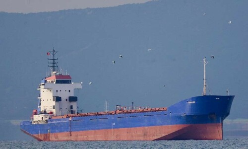 Ukraine seizes cargo ship, detains captain for exporting &lsquo;looted&rsquo; grain