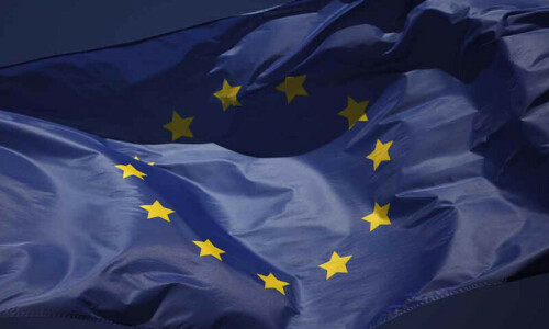 EU countries divided over Chinese EV tariffs EU countries divided over Chinese EV tariffs