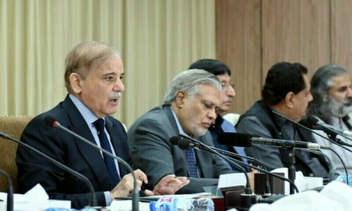 PML-N told to seek &lsquo;democratic solution&rsquo; to its PTI problem