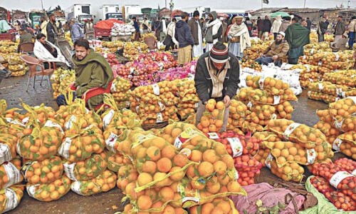 Fruit exports from Afghanistan ‘stopped’ Fruit exports from Afghanistan ‘stopped’