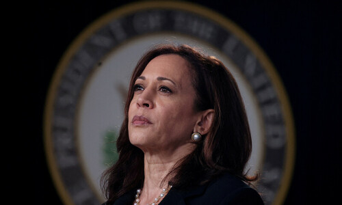Top US Democrats fall in line as Kamala Harris steams towards election nomination Top US Democrats fall in line as Kamala Harris steams towards election nomination