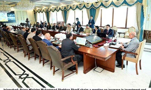 US firm hired to boost investment