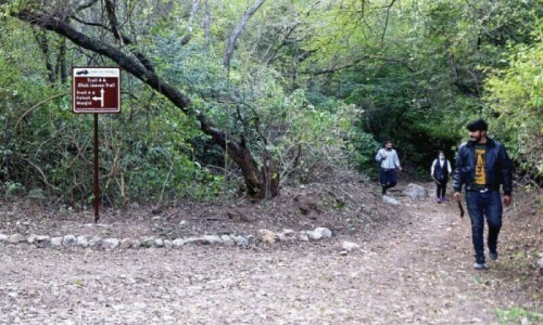 CDA to plant one million trees on Margalla Hills CDA to plant one million trees on Margalla Hills