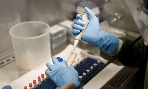 Sewage samples from Tank, Zhob test positive for poliovirus Sewage samples from Tank, Zhob test positive for poliovirus